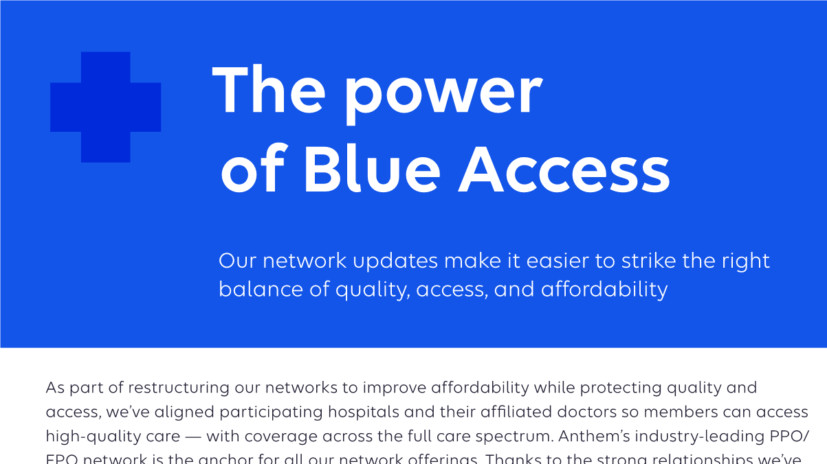 Blue-Access-Network-flyer