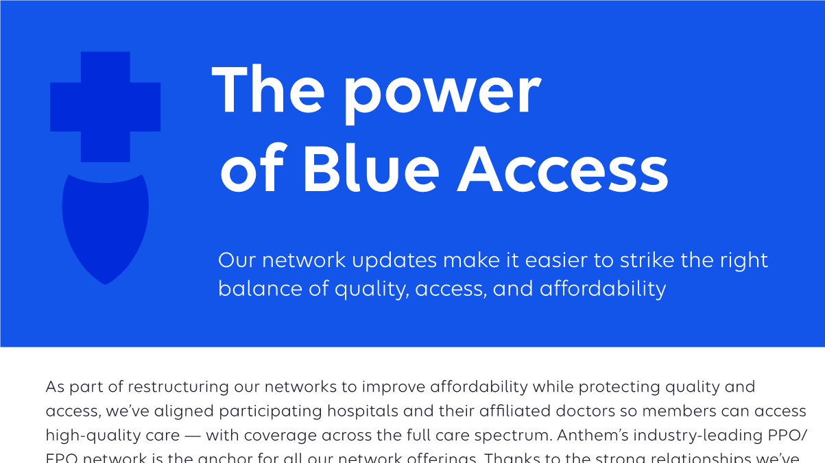 Blue-Access-Network-flyer