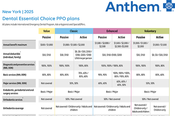 2025-SG-Dental-Plans-flyer