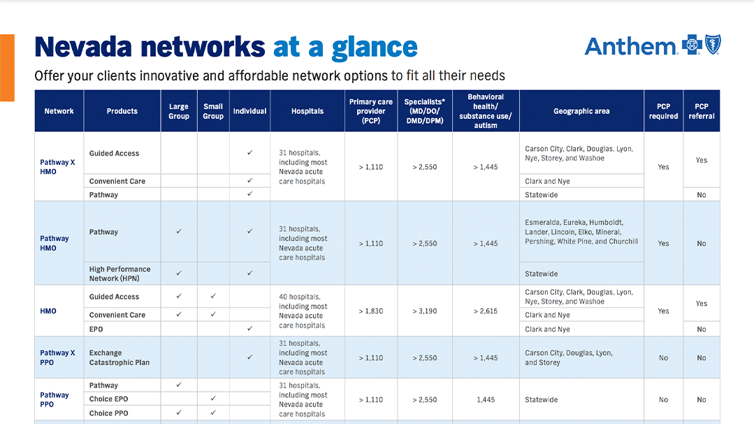 NV-Network-at-a-Glance-Flyer