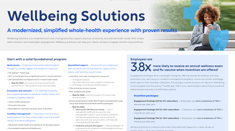 Wellbeing-Solutions-Broker-placemat-2024