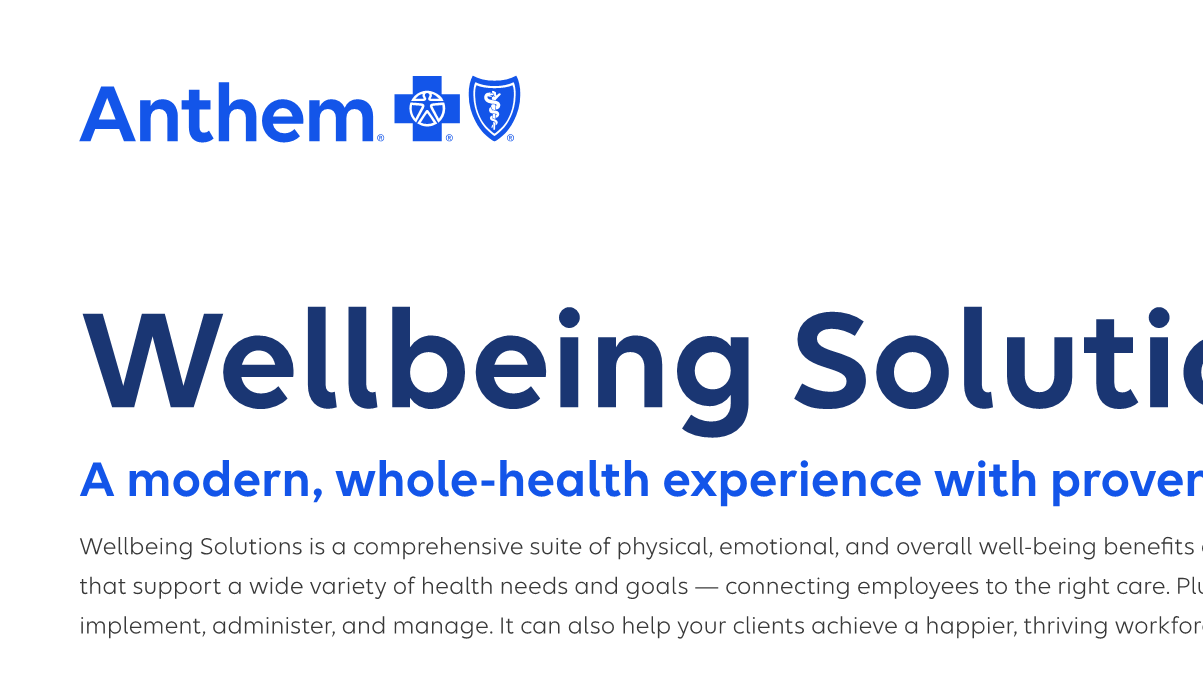 2025-Wellbeing-Solutions-Broker-placemat-