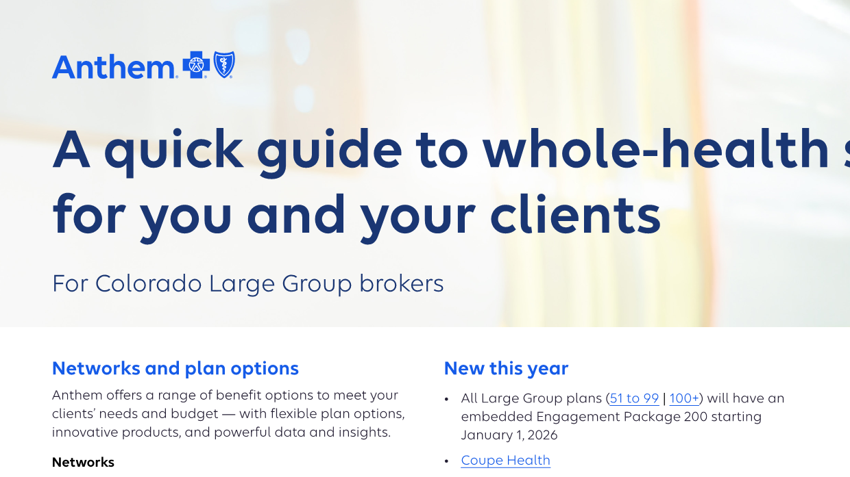 A-quick-reference-guide-to-Large-Group-whole-health-solutions