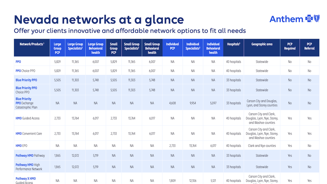 NV-Network-at-a-Glance-Flyer
