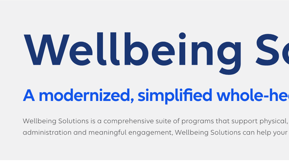 Wellbeing-Solutions-Broker-placemat-2024