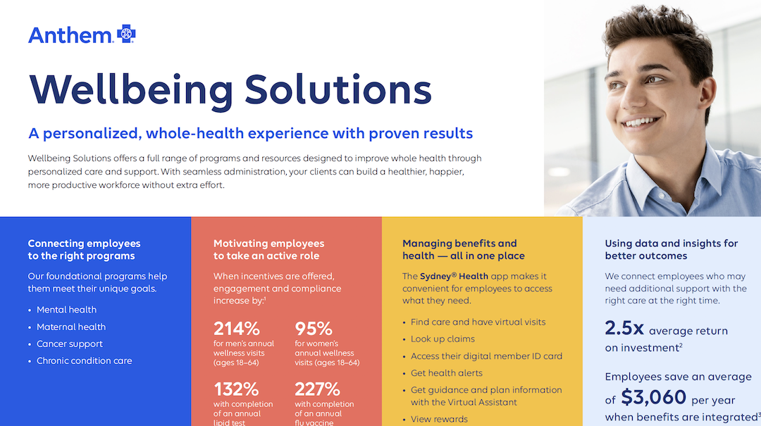 2027-Wellbeing-Solutions-Broker-placemat-