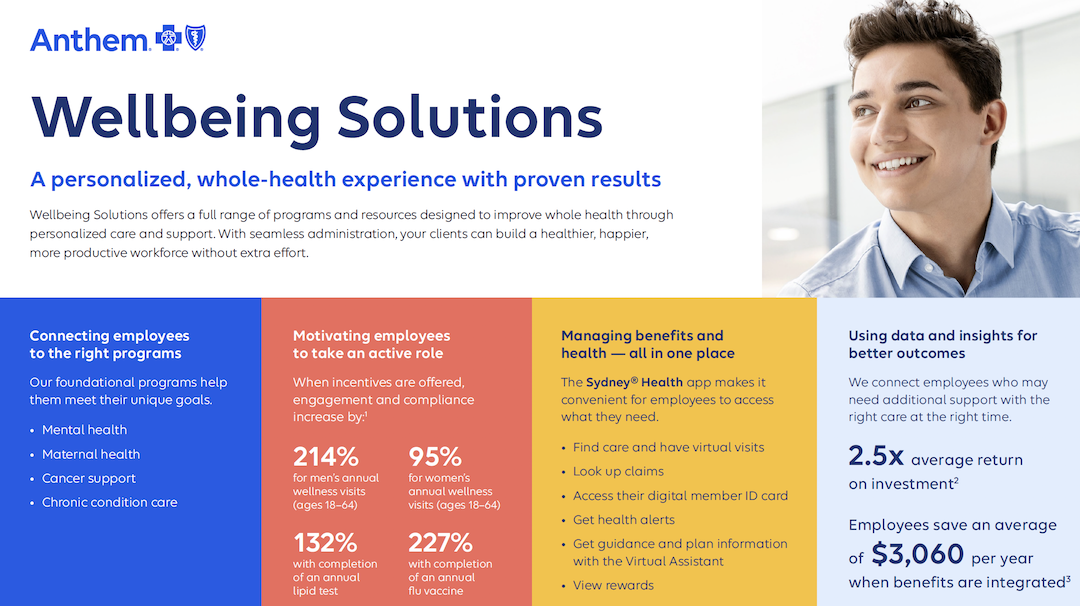 2027-Wellbeing-Solutions-Broker-placemat-