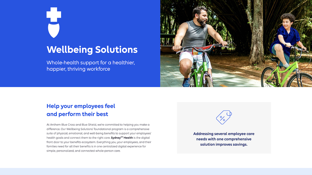 Wellbeing-Solutions-Fully-Insured-landing-page
