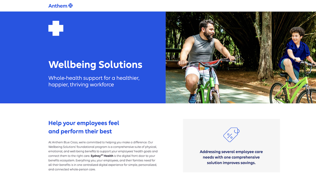 Wellbeing-Solutions-Fully-Insured-landing-page