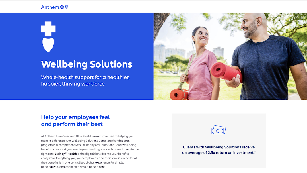 Wellbeing-Solutions-ASO-Complete-landing-page