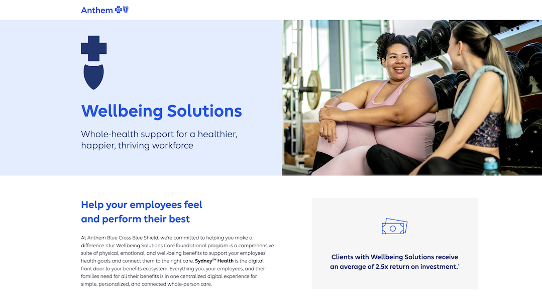 Wellbeing-Solutions-ASO-Core-landing-page