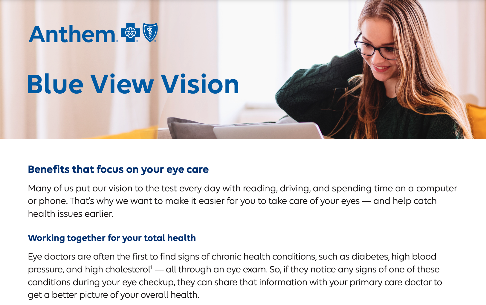 Blue-View-Vision-member-flyer