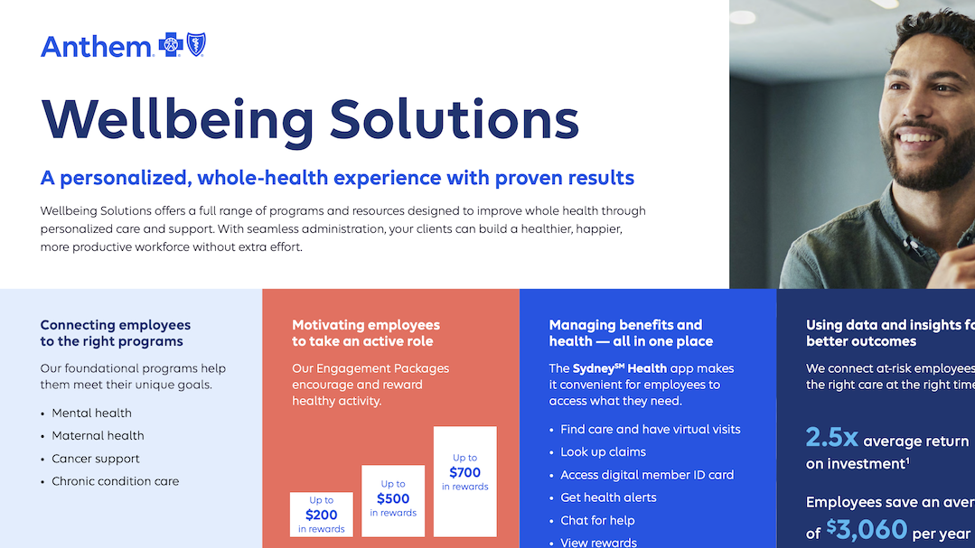 2026-Wellbeing-Solutions-Broker-placemat-
