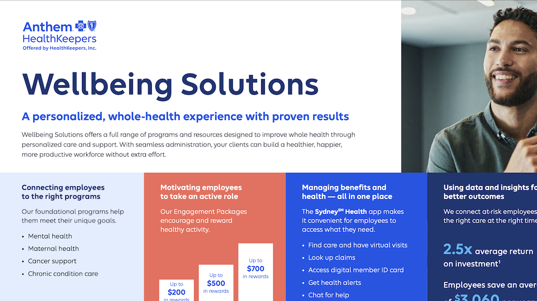 2026-Wellbeing-Solutions-Broker-placemat-