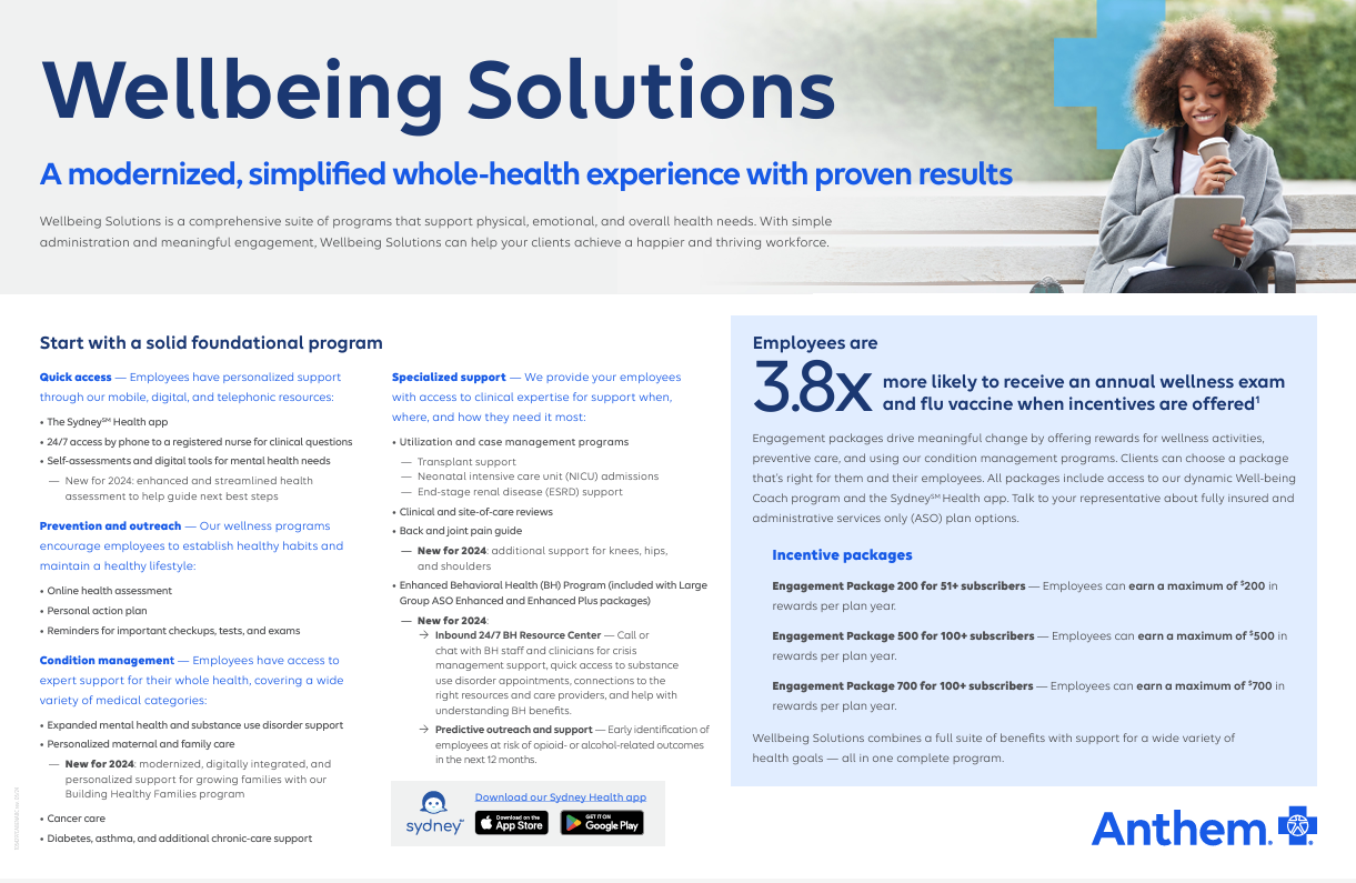 Wellbeing-Solutions-Broker-placemat-2024